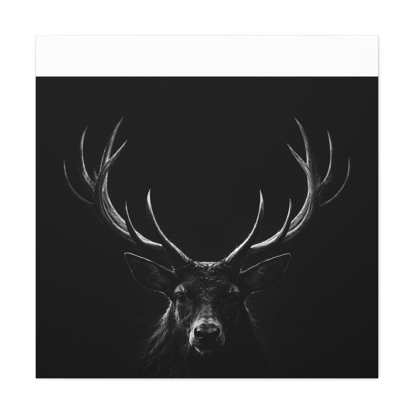 The Stag Canvas — Stillness with Antlers