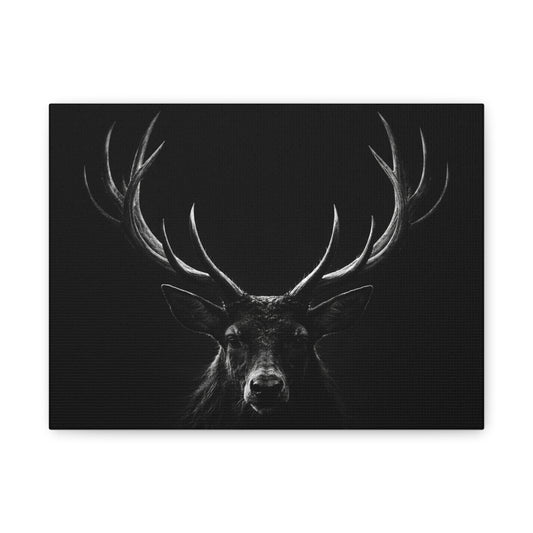 The Stag Canvas — Stillness with Antlers