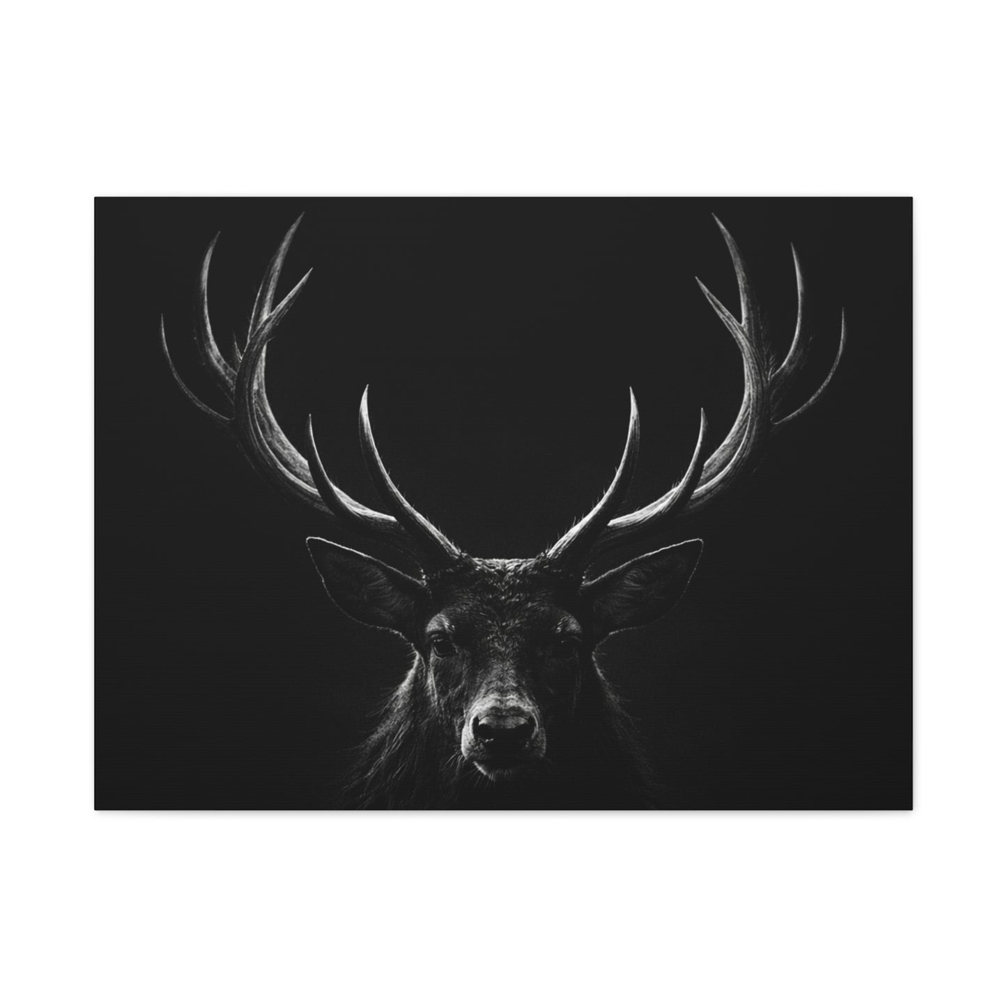 The Stag Canvas — Stillness with Antlers