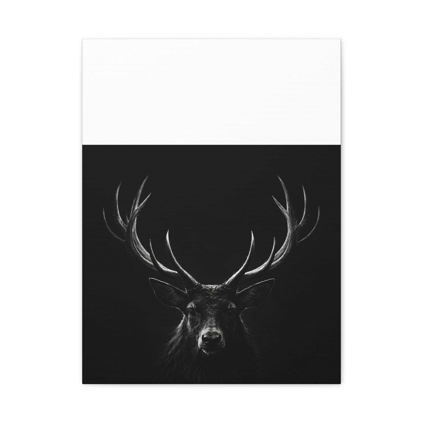 The Stag Canvas — Stillness with Antlers