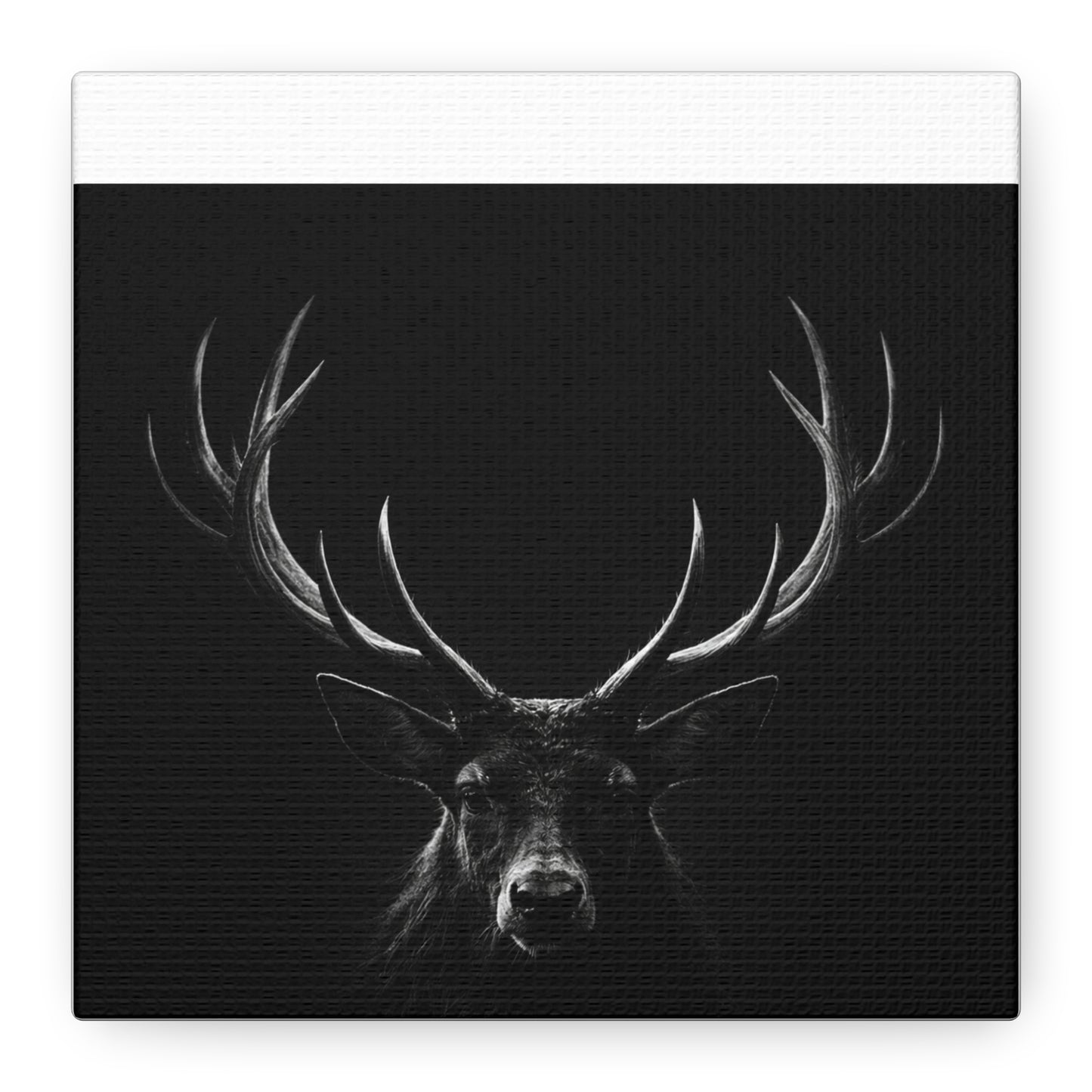 The Stag Canvas — Stillness with Antlers