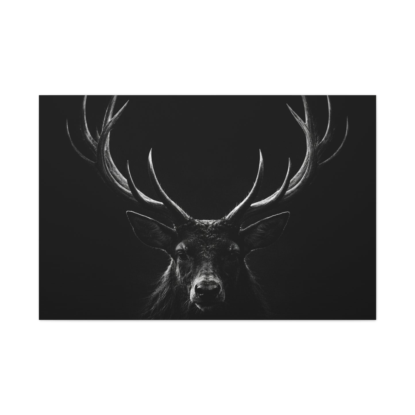 The Stag Canvas — Stillness with Antlers