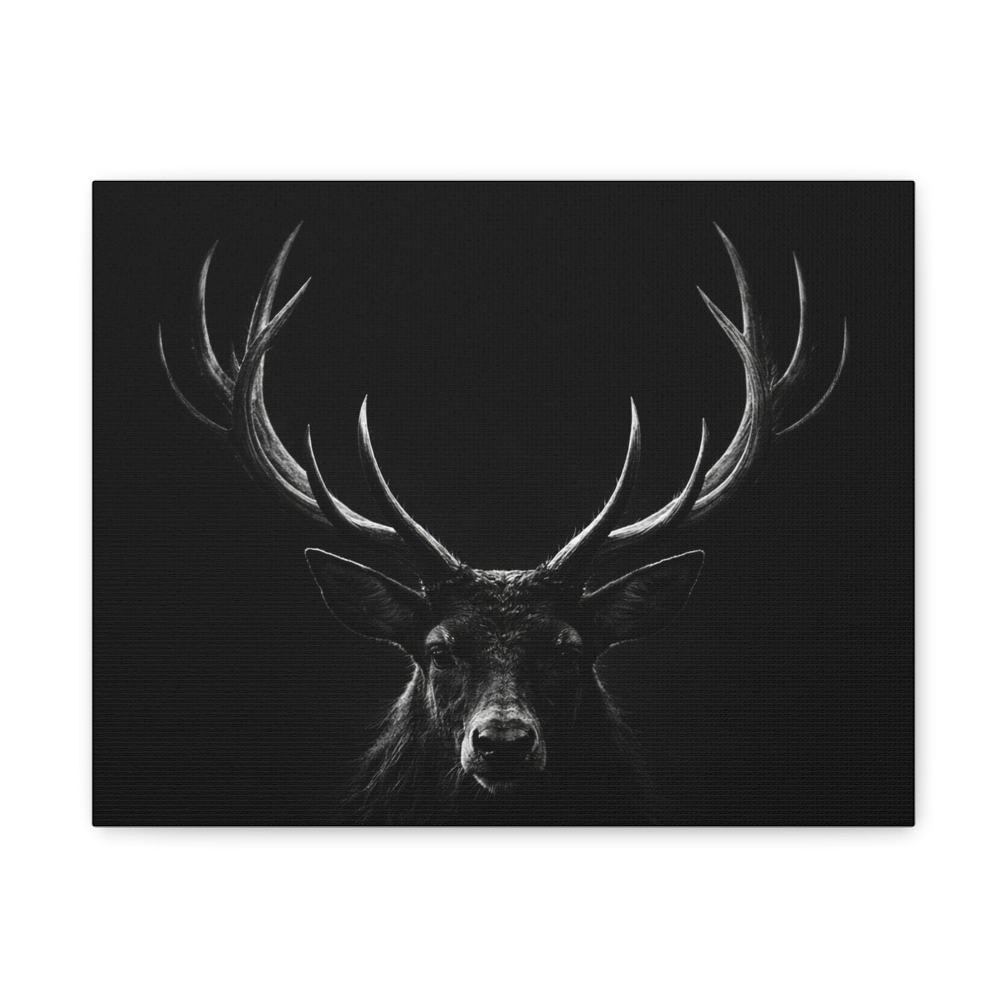 The Stag Canvas — Stillness with Antlers