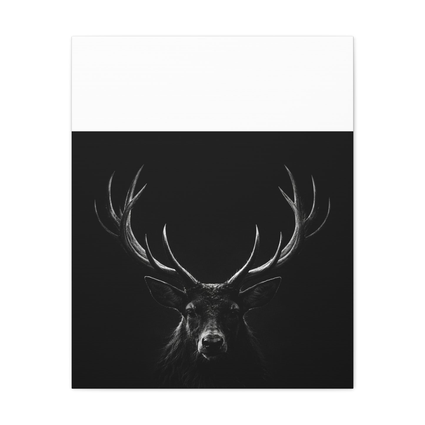 The Stag Canvas — Stillness with Antlers