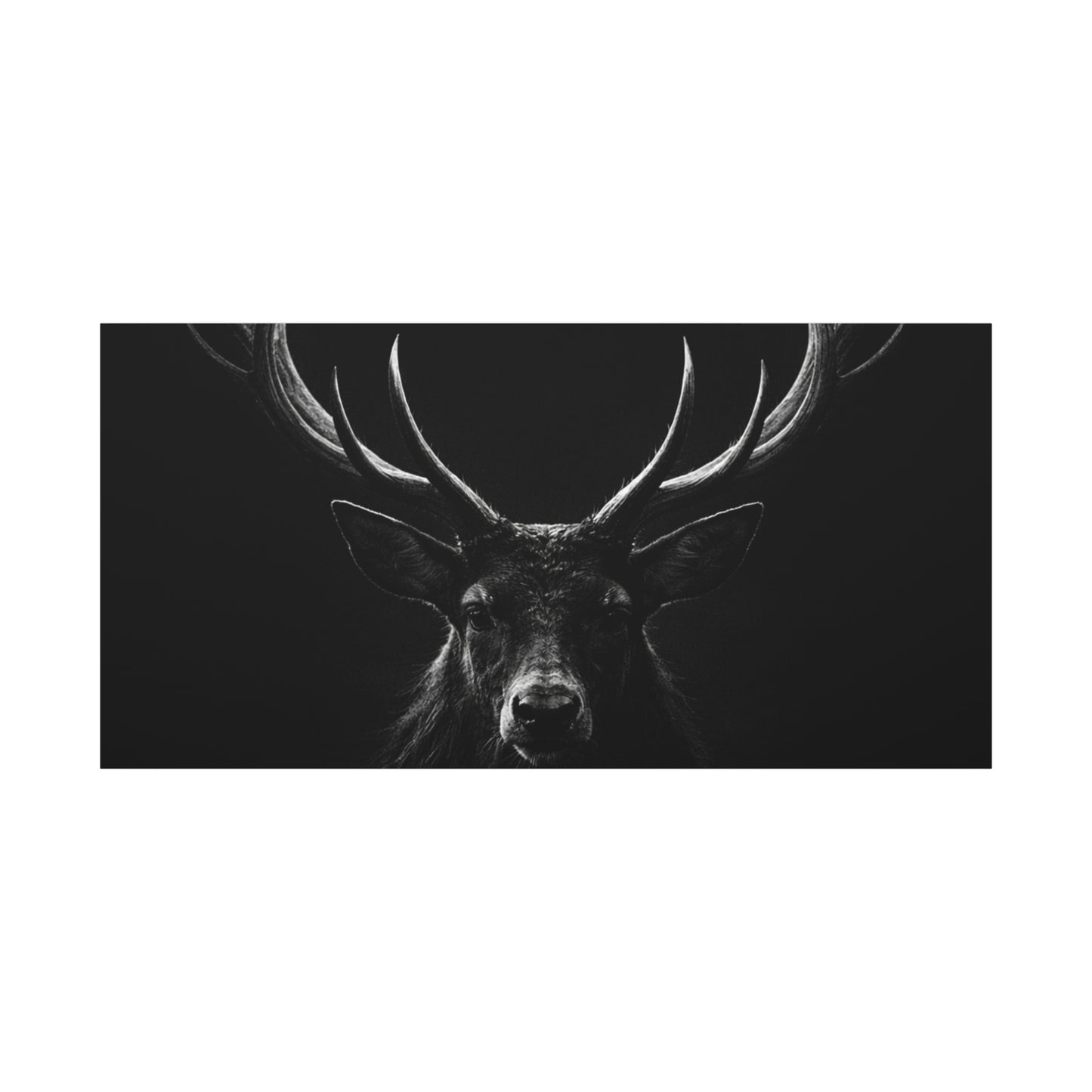 The Stag Canvas — Stillness with Antlers