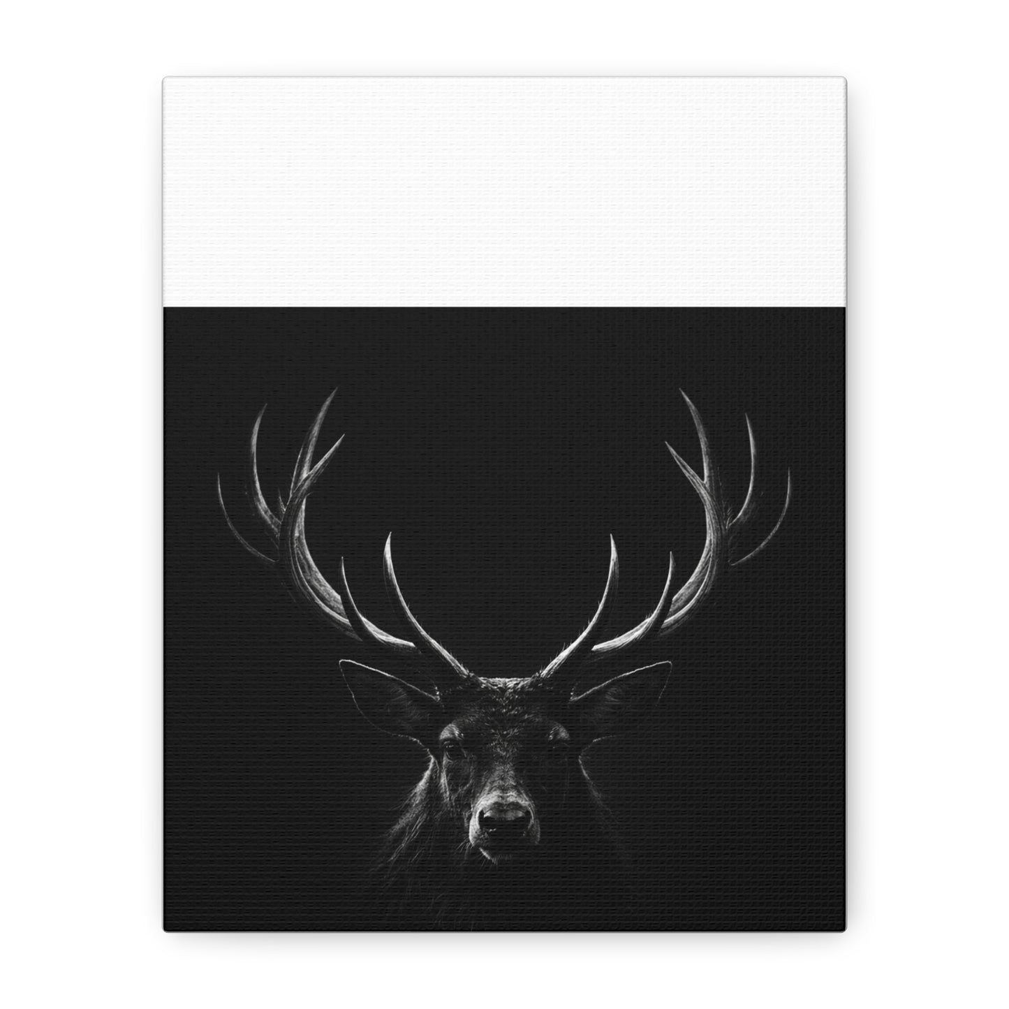 The Stag Canvas — Stillness with Antlers