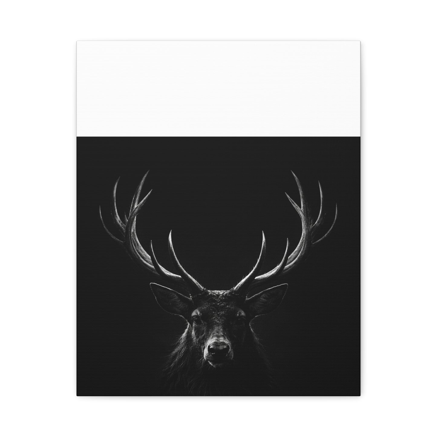 The Stag Canvas — Stillness with Antlers