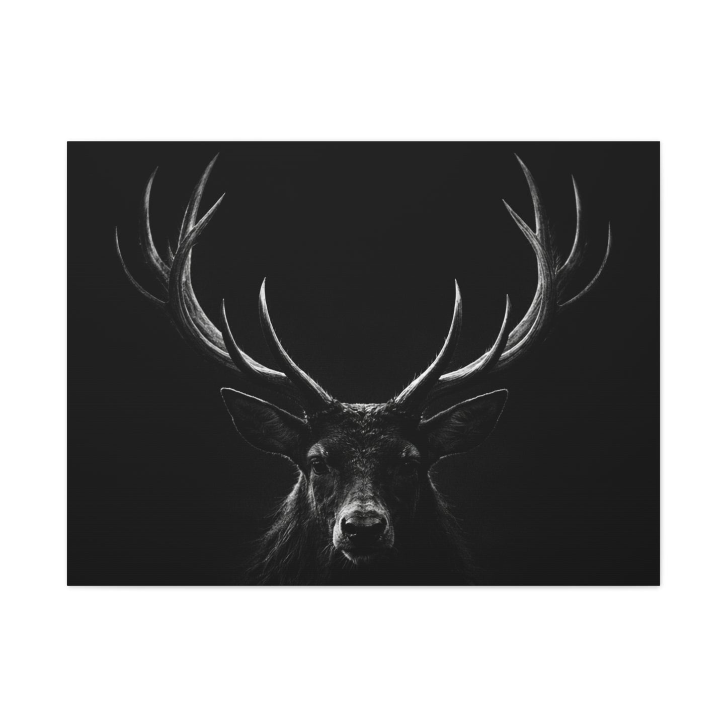 The Stag Canvas — Stillness with Antlers