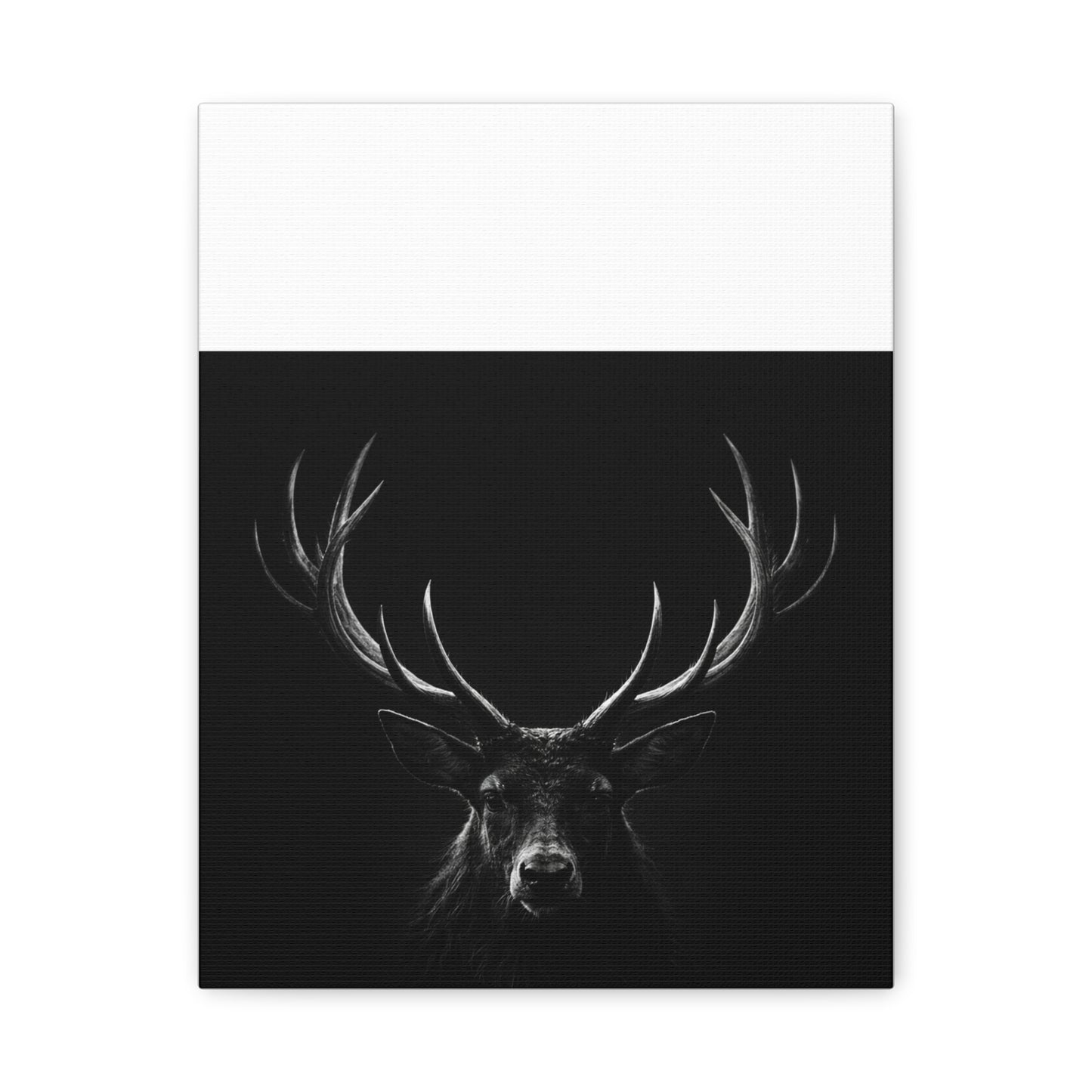 The Stag Canvas — Stillness with Antlers