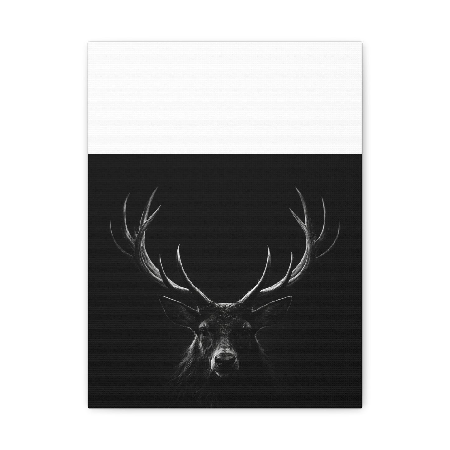 The Stag Canvas — Stillness with Antlers