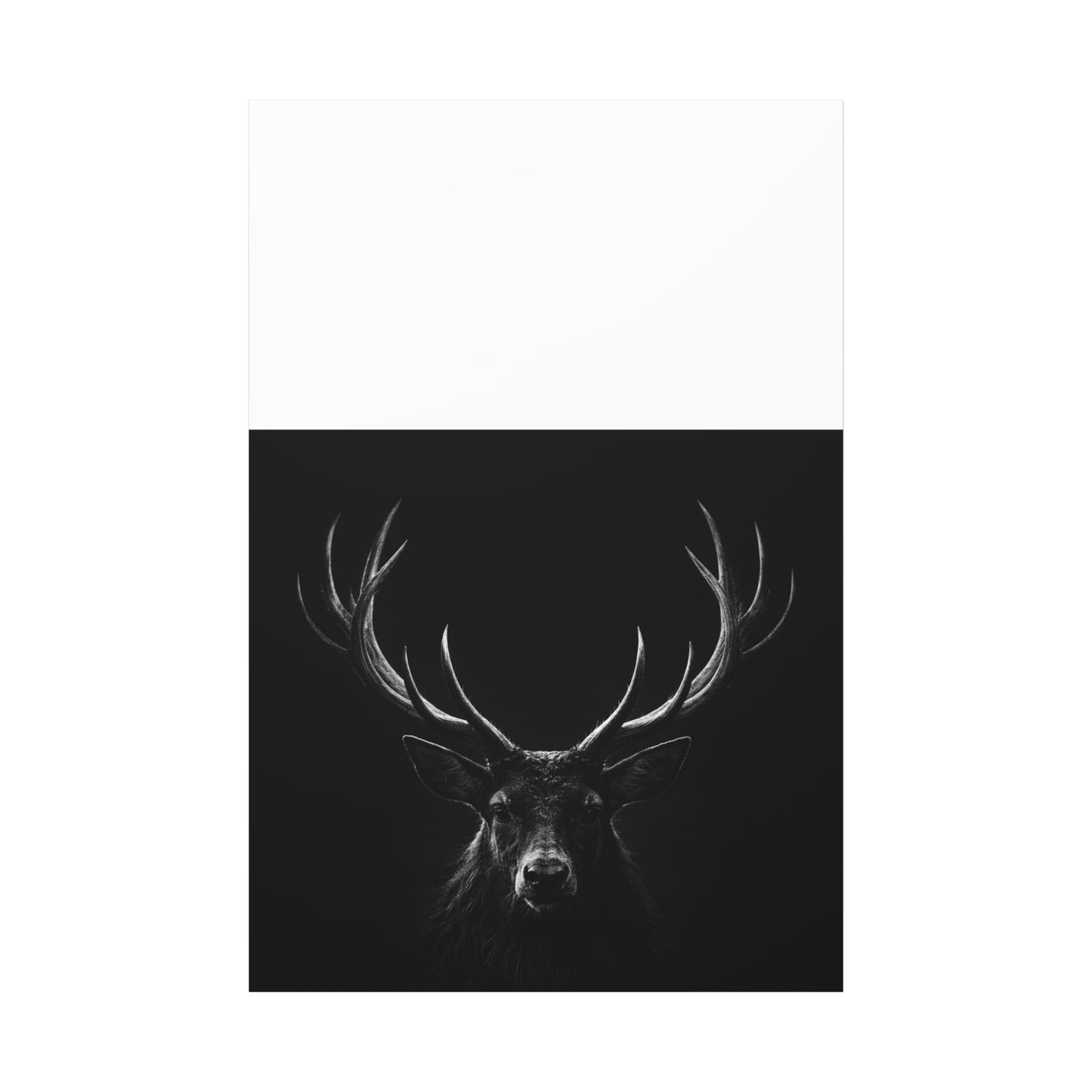 The Stag Canvas — Stillness with Antlers