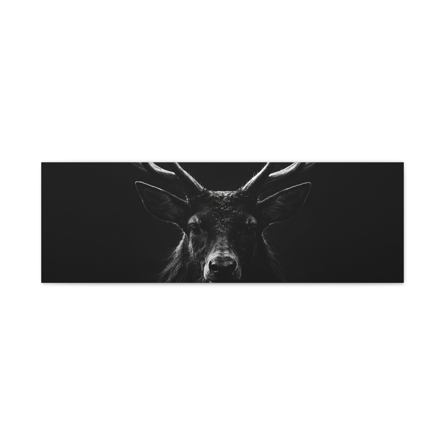 The Stag Canvas — Stillness with Antlers