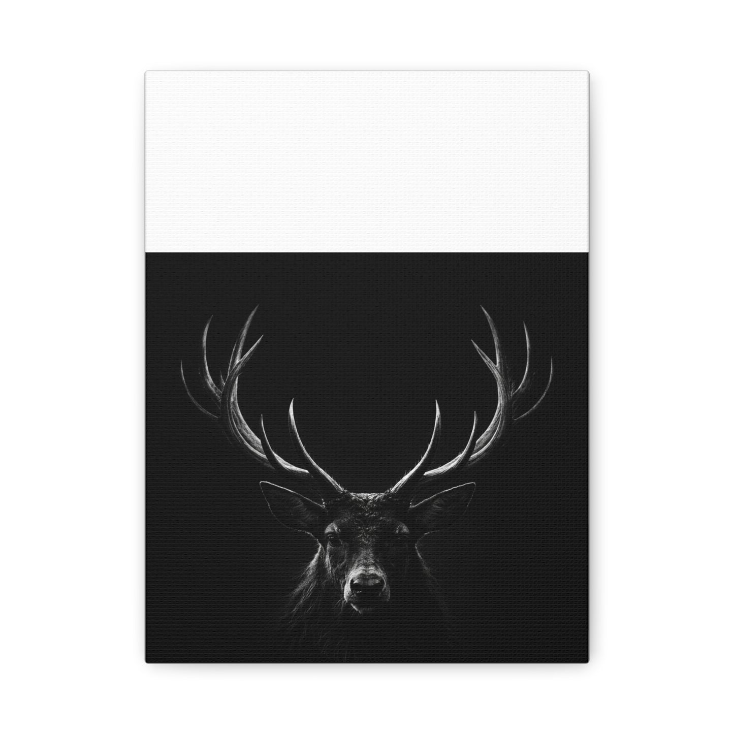 The Stag Canvas — Stillness with Antlers