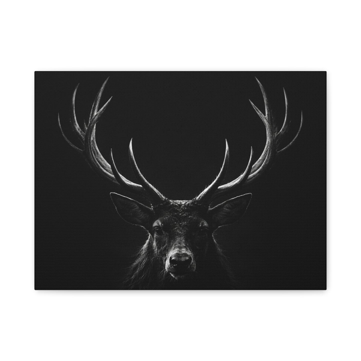 The Stag Canvas — Stillness with Antlers