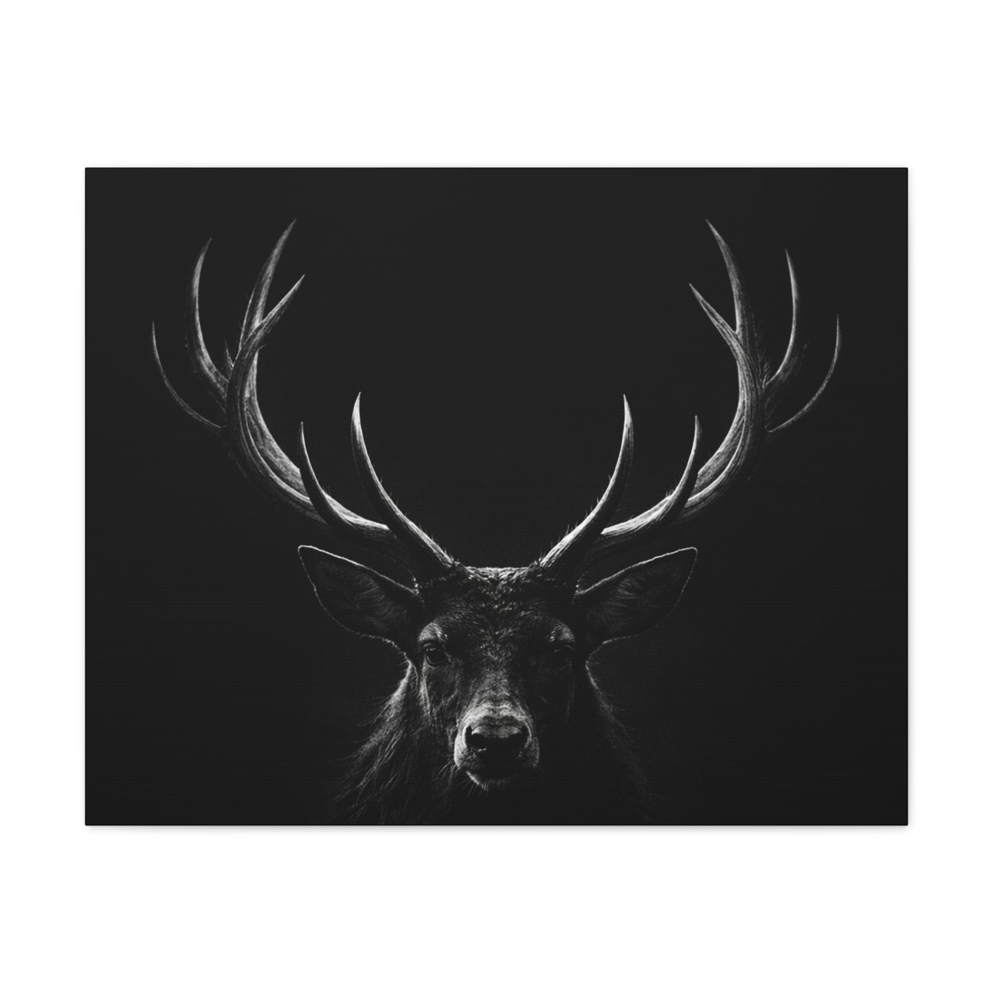 The Stag Canvas — Stillness with Antlers