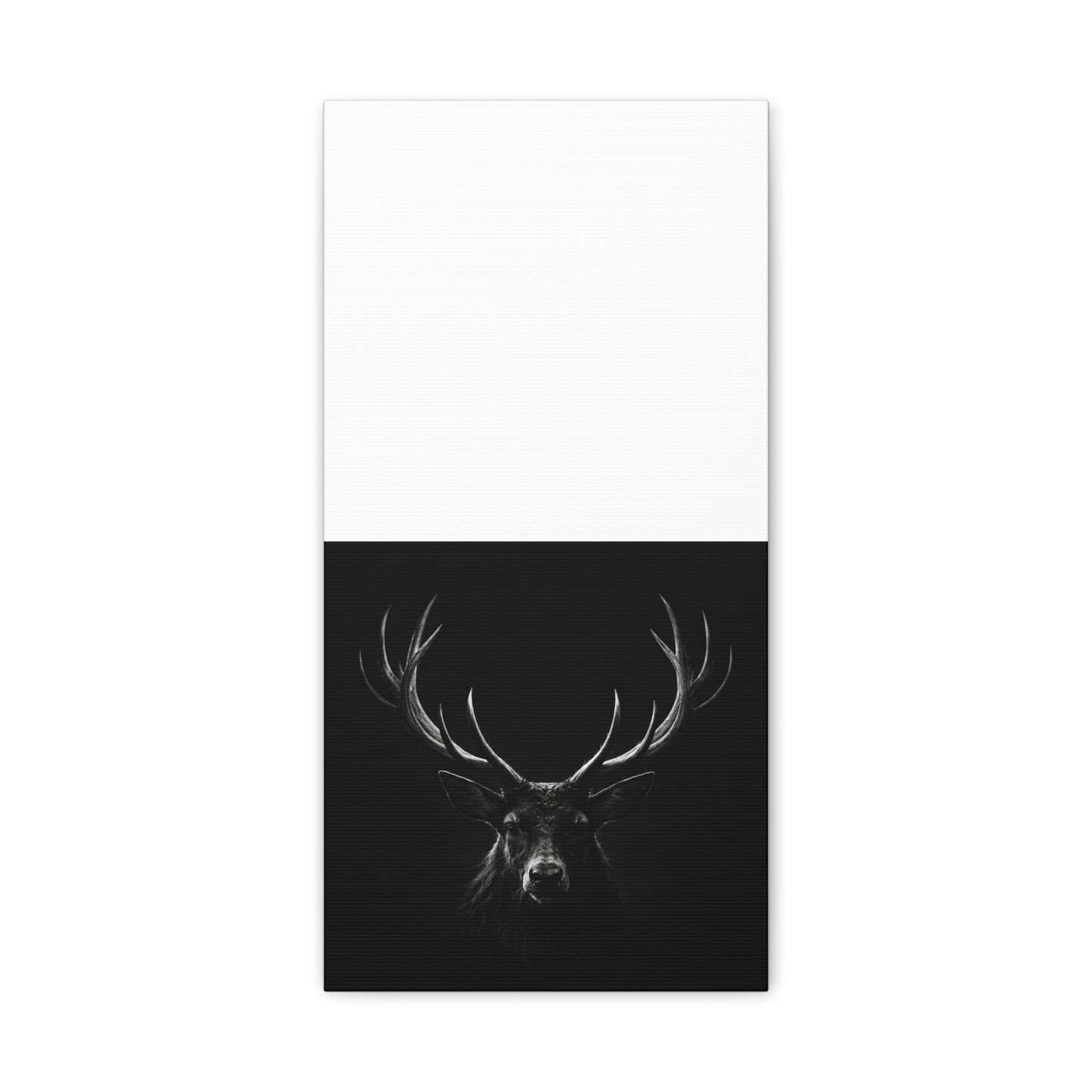 The Stag Canvas — Stillness with Antlers