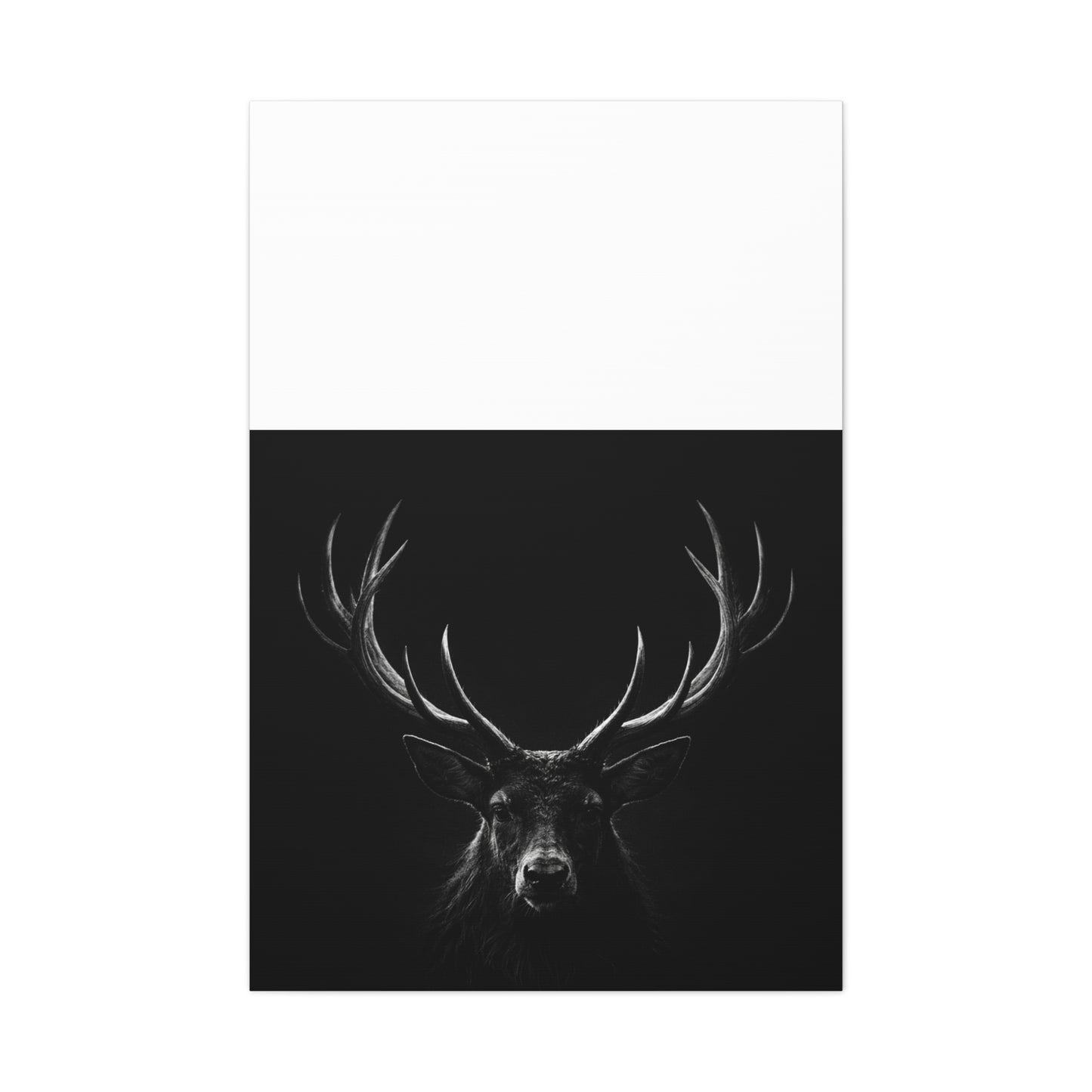 The Stag Canvas — Stillness with Antlers