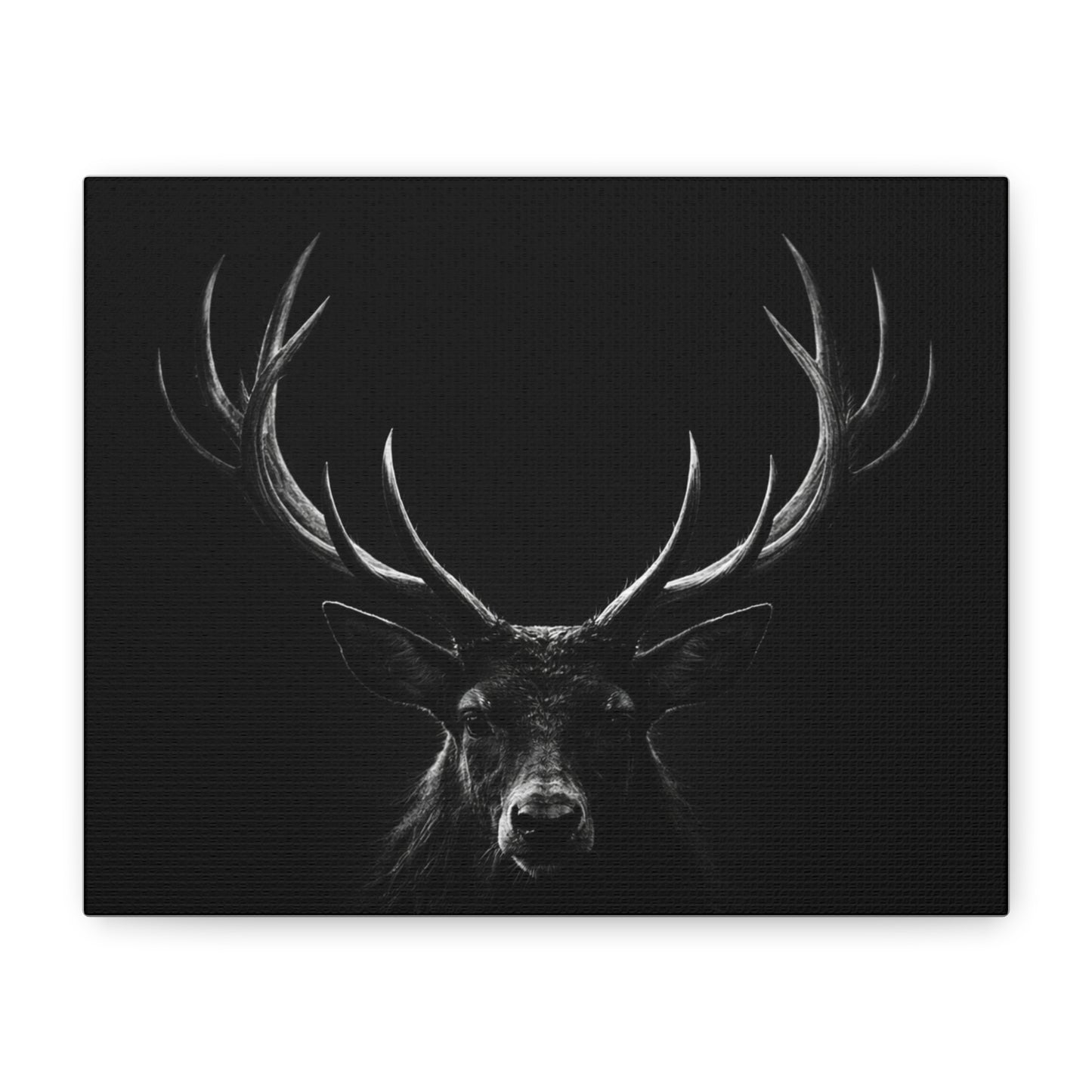 The Stag Canvas — Stillness with Antlers