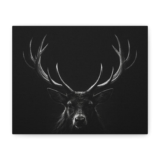 The Stag Canvas — Stillness with Antlers