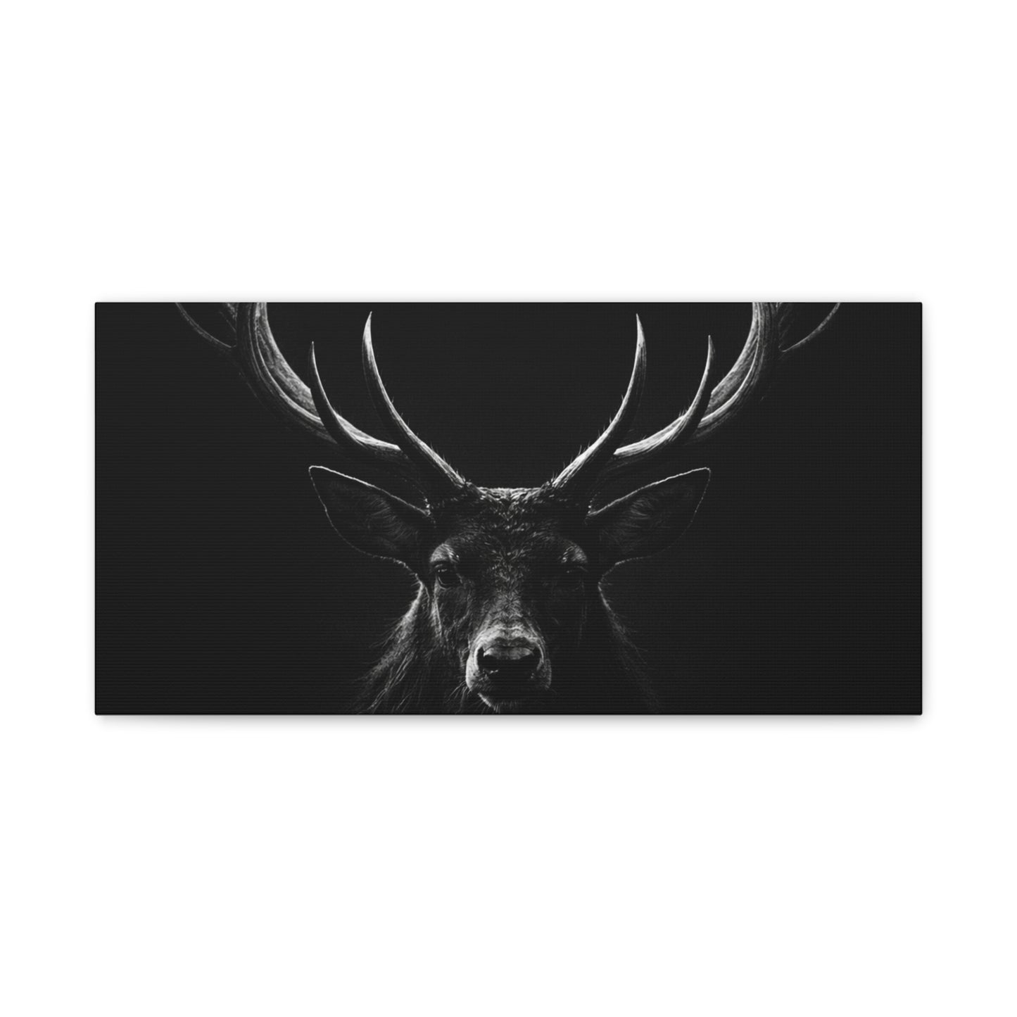 The Stag Canvas — Stillness with Antlers