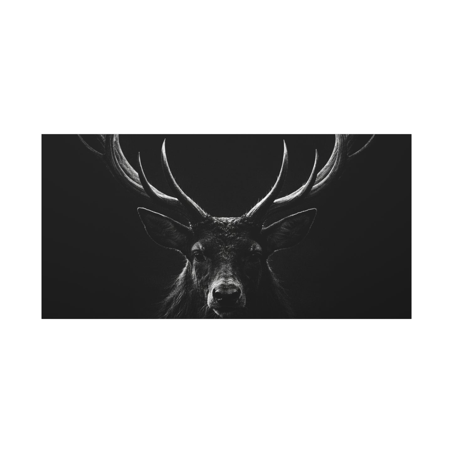 The Stag Canvas — Stillness with Antlers
