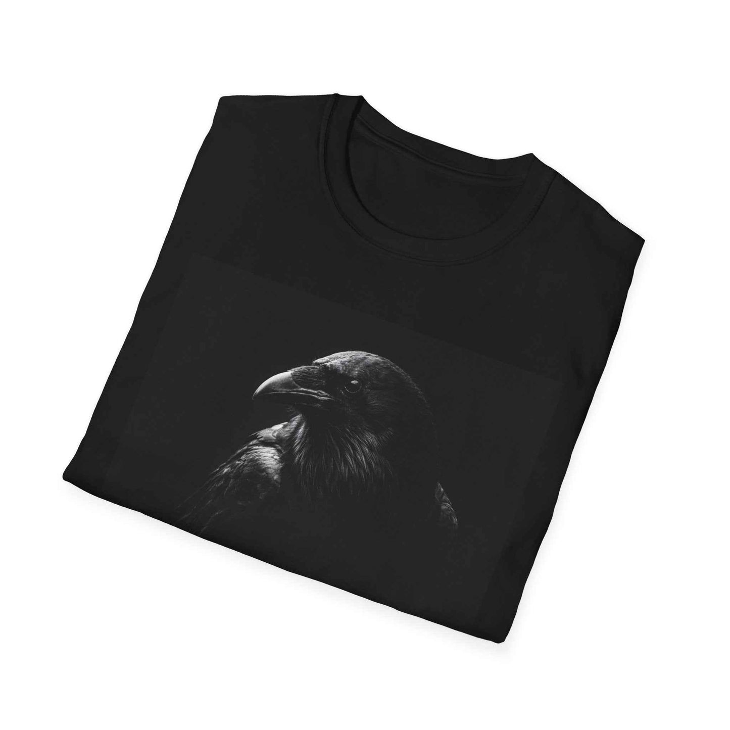 The Raven — Watch from Above