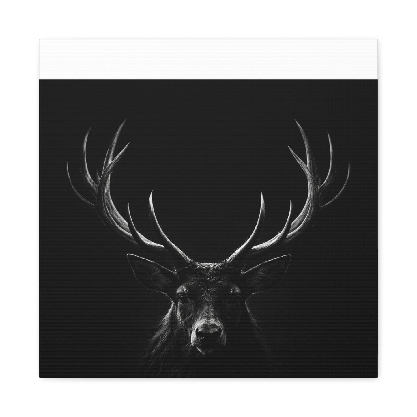 The Stag Canvas — Stillness with Antlers