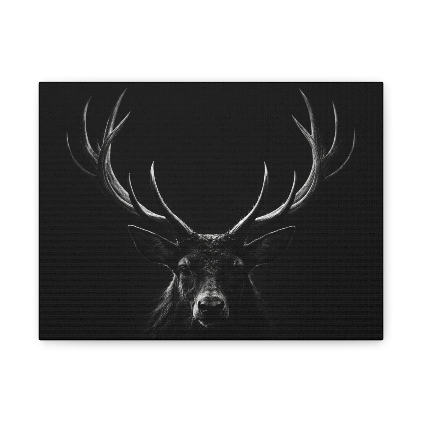 The Stag Canvas — Stillness with Antlers