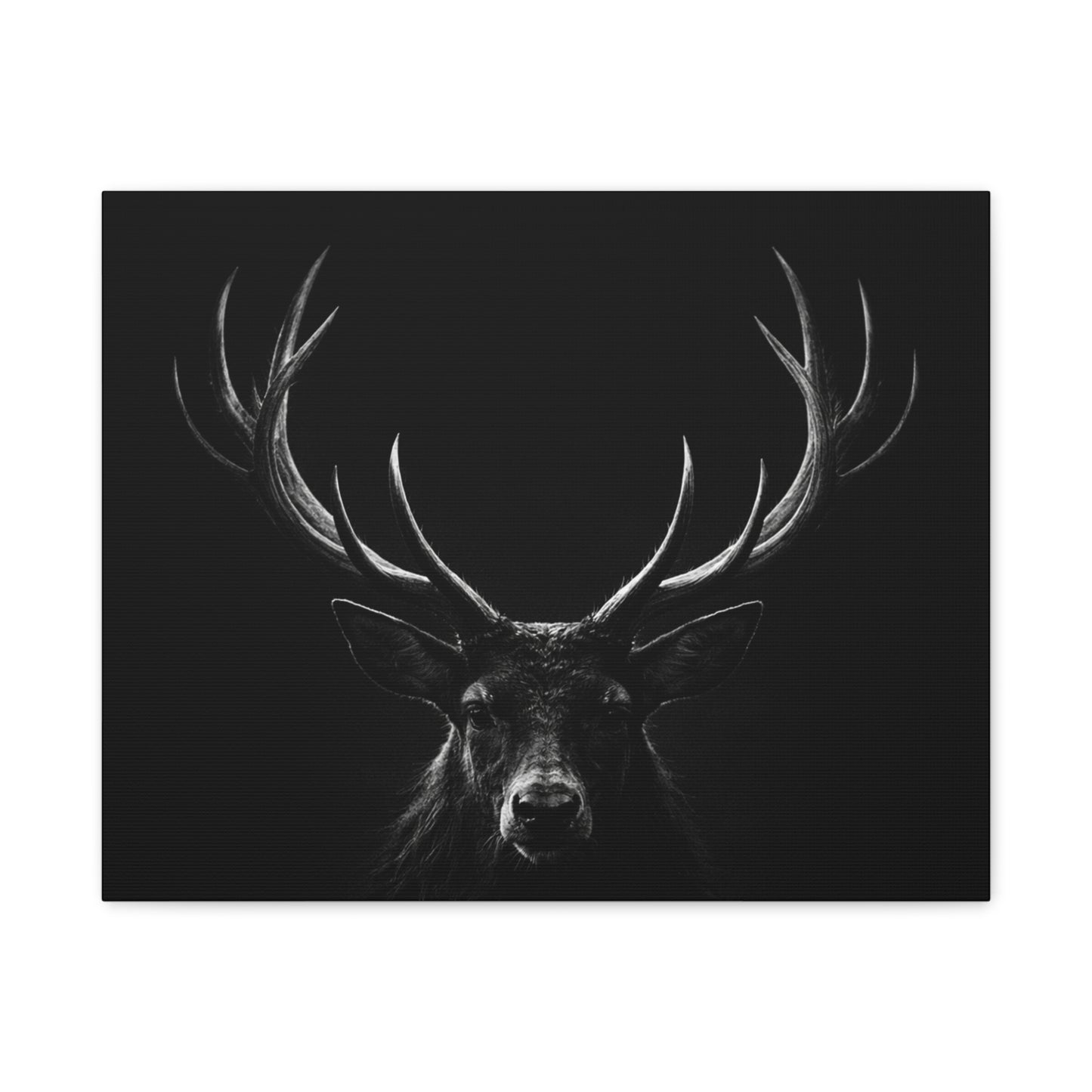 The Stag Canvas — Stillness with Antlers