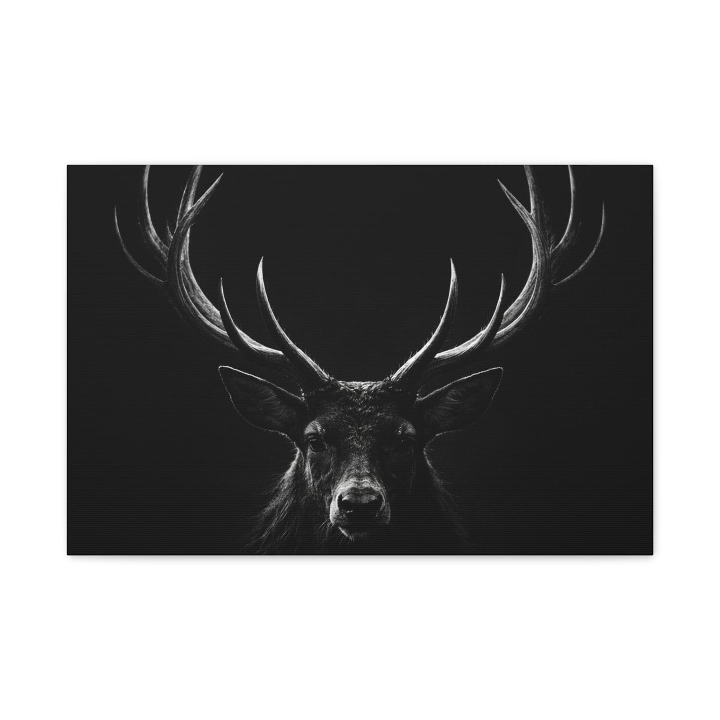 The Stag Canvas — Stillness with Antlers