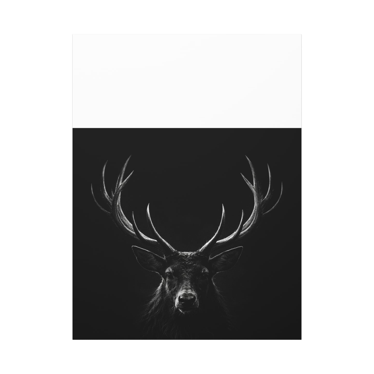 The Stag Canvas — Stillness with Antlers