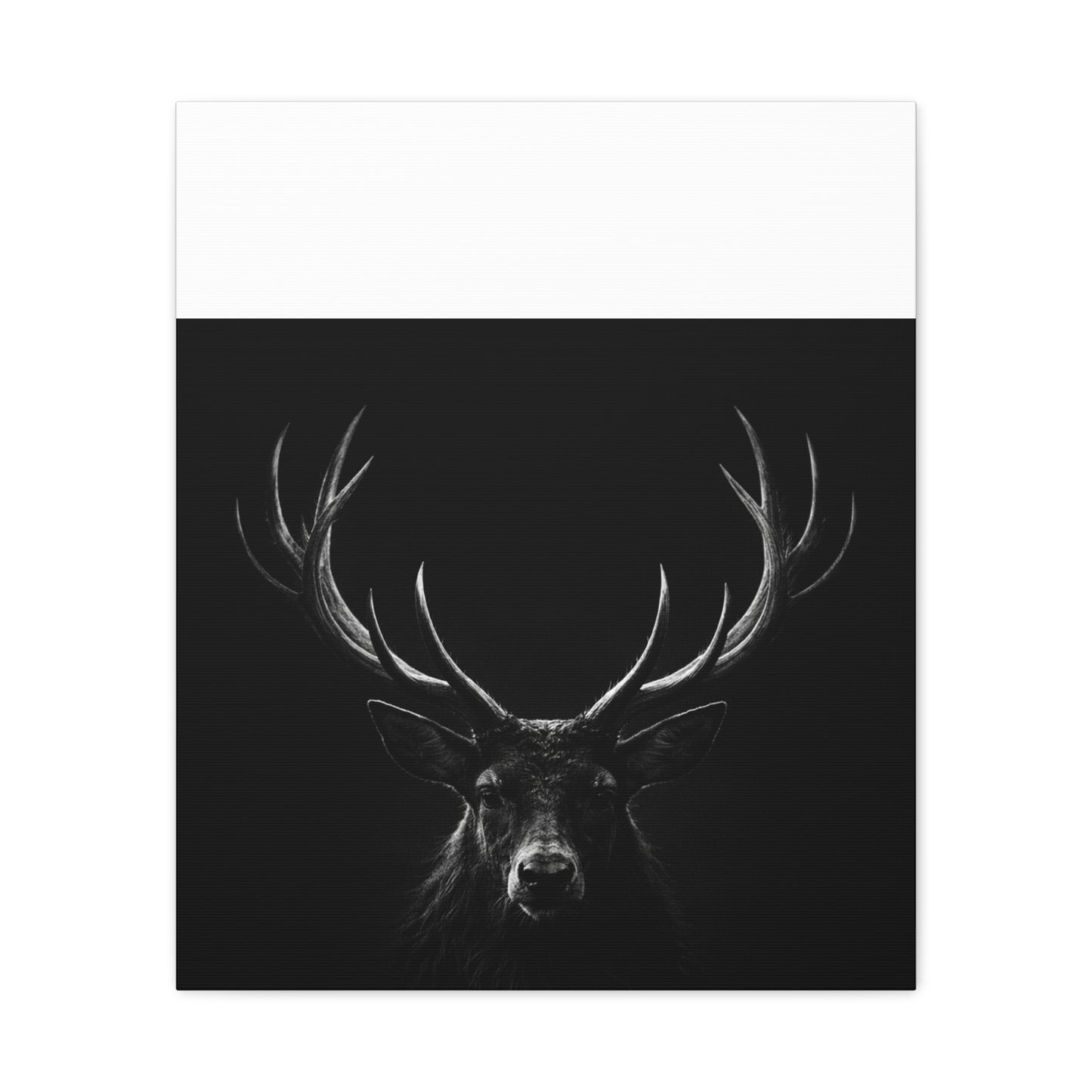 The Stag Canvas — Stillness with Antlers